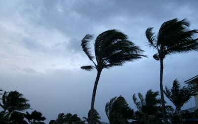 Hurricane Insurance Claim Overview